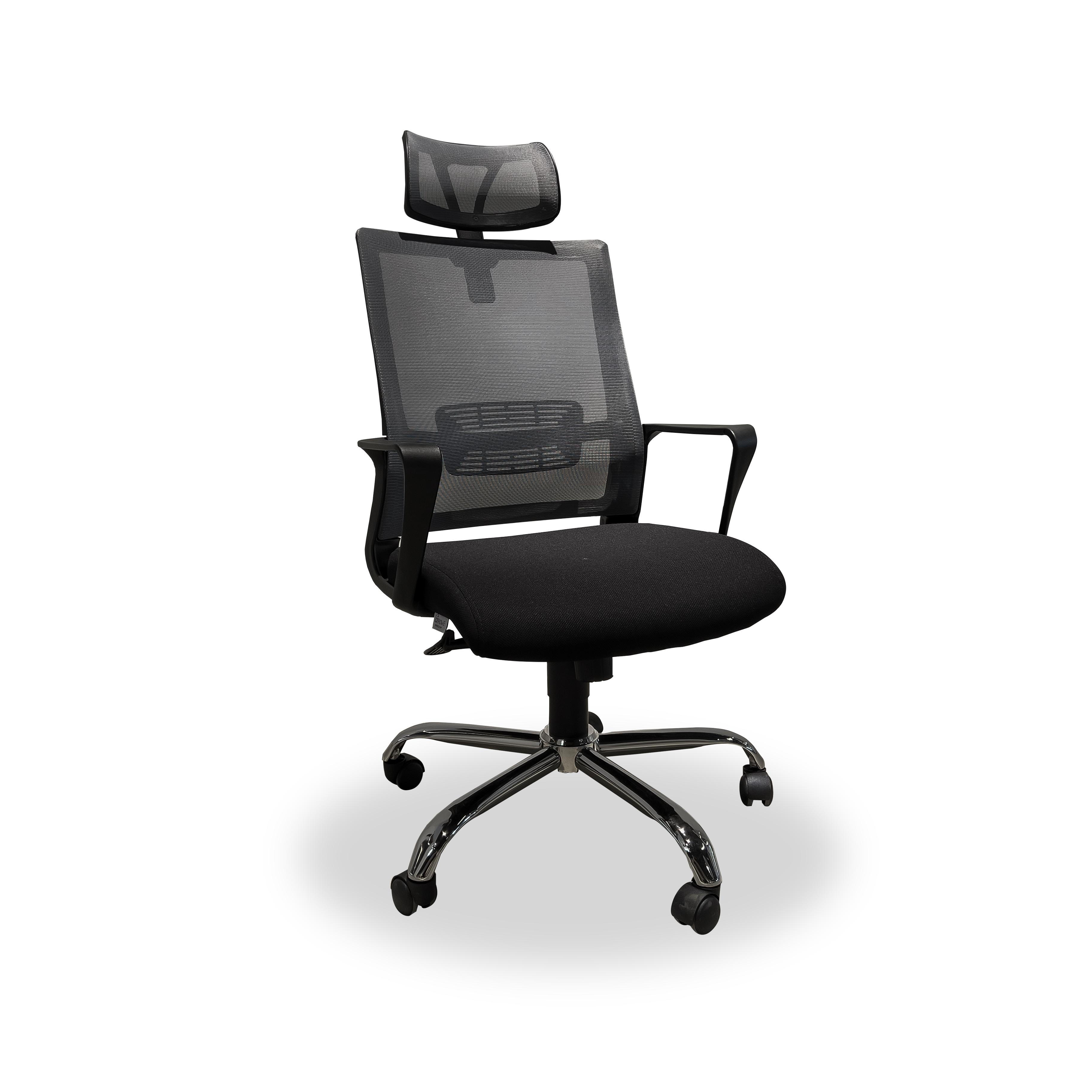 ErgoMesh Pro Office Chair