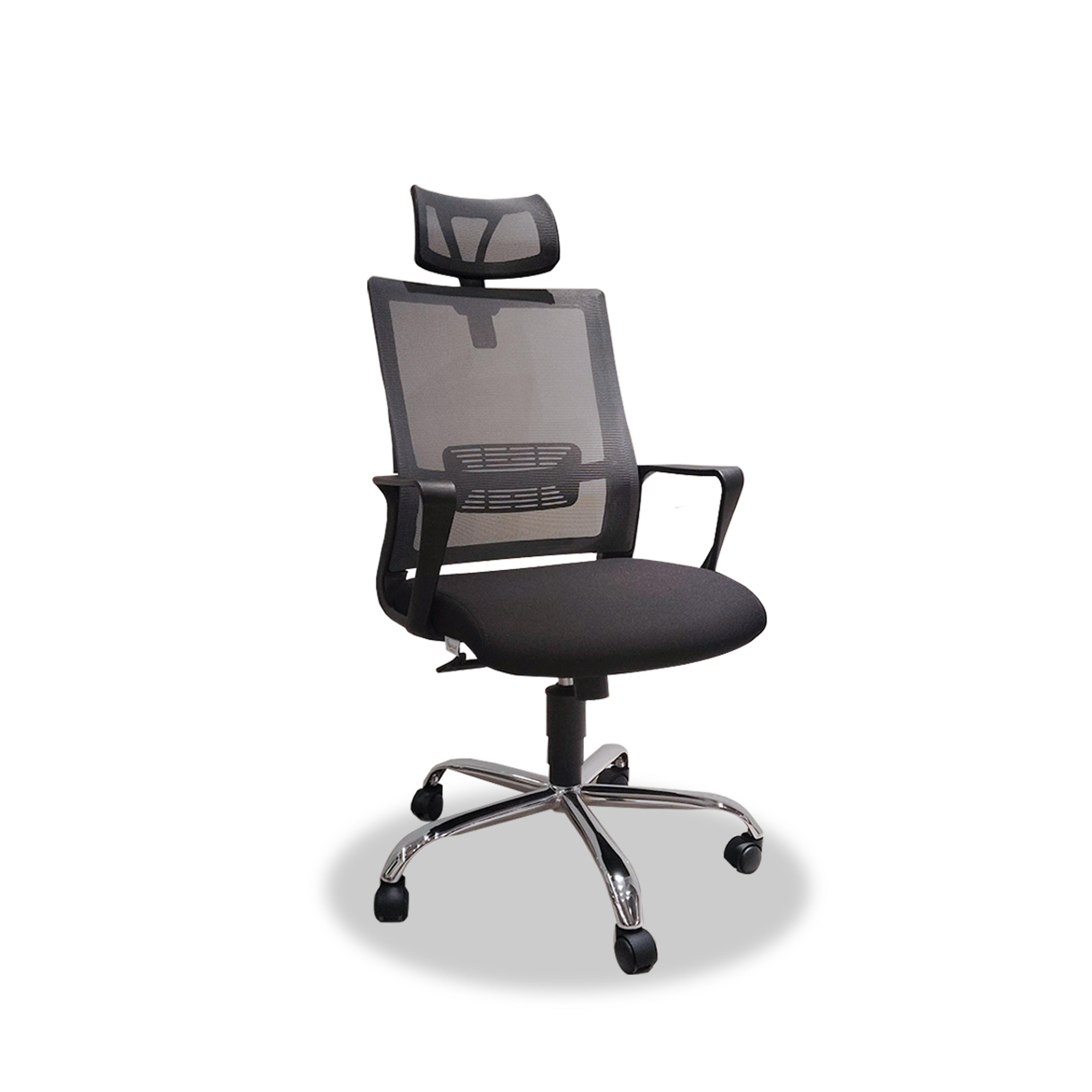 ErgoMesh Pro Office Chair